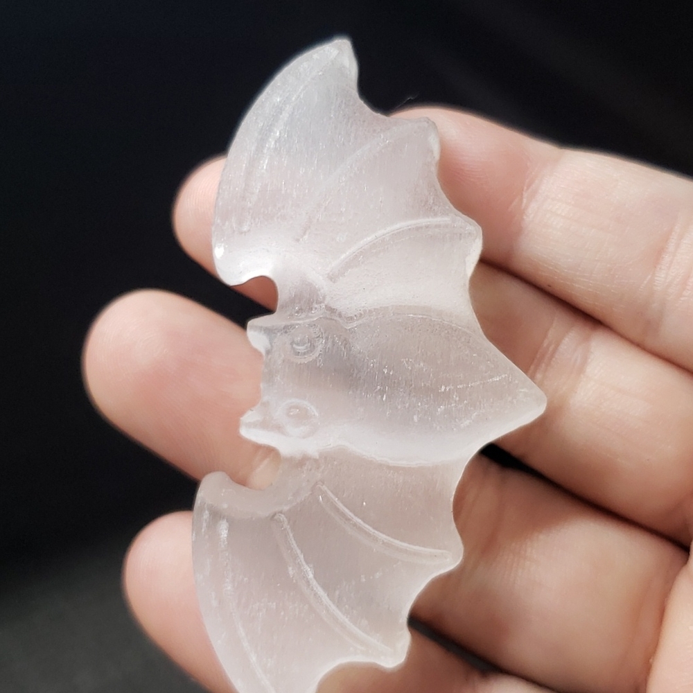 Bat lover bundle - Picture 4 of 8